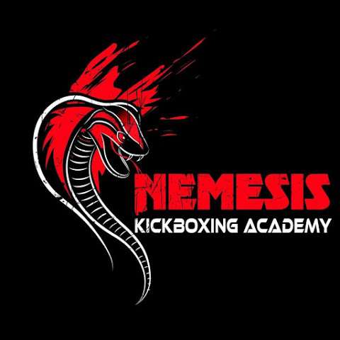 Nemesis Kickboxing Academy photo
